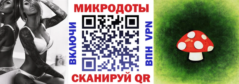 Галлюциногенные грибы ЛСД Чухлома